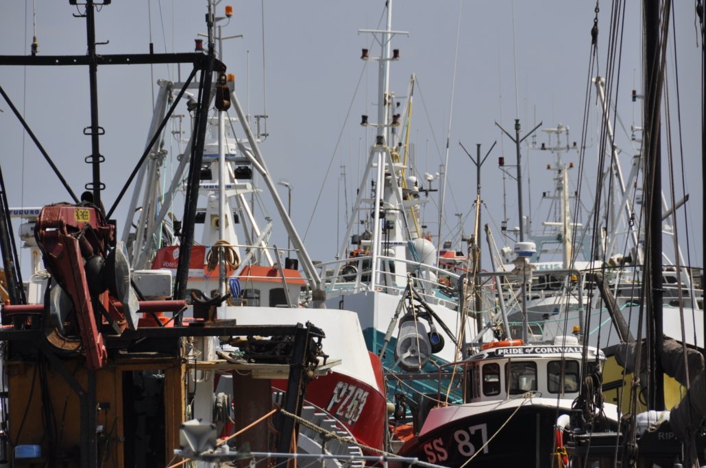 Fishing Fleet, Newlyn Harbour